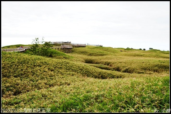 20160712北海道知床五湖14.jpg