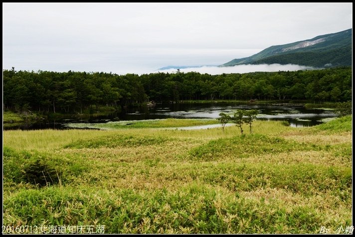20160712北海道知床五湖29.jpg