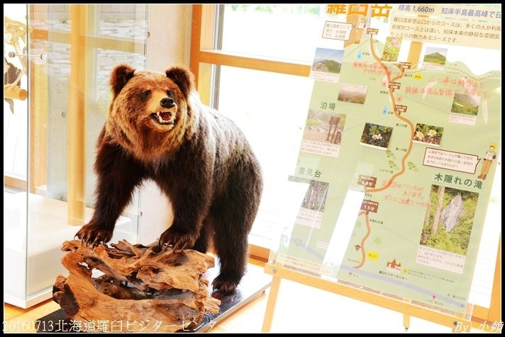 20160713北海道羅臼ビジターセンター05.jpg
