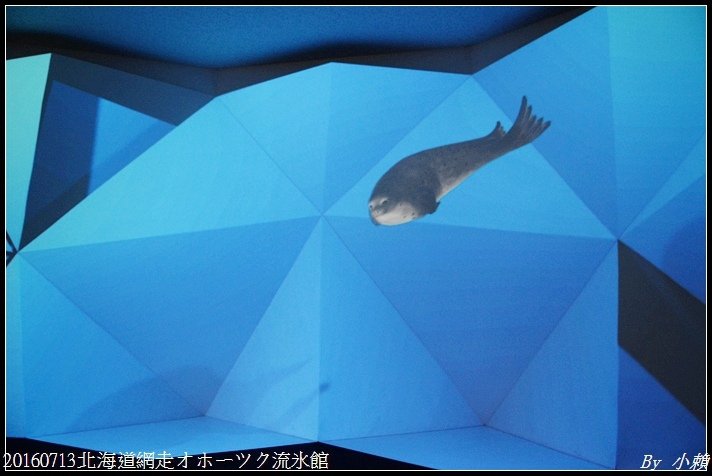 20160713北海道網走オホーツク流氷館056.jpg