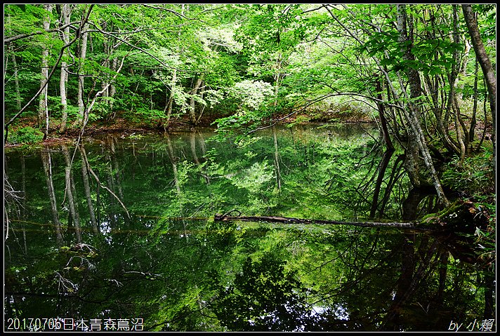 20170706日本青森蔦七沼021.jpg