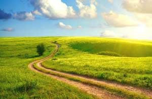field_path