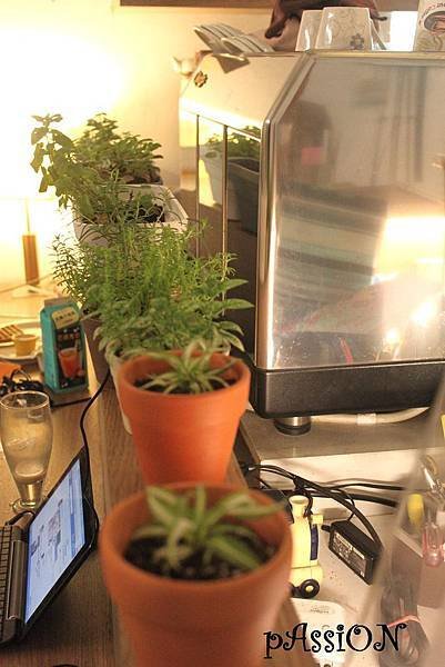 台南 怪獸茶舖