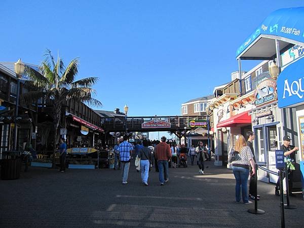 IMG_0862