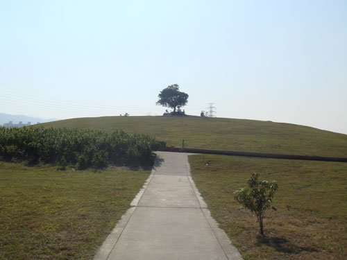 我的野蠻女友風景.jpg