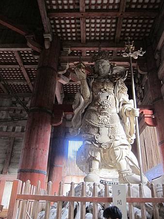 IMG_2855