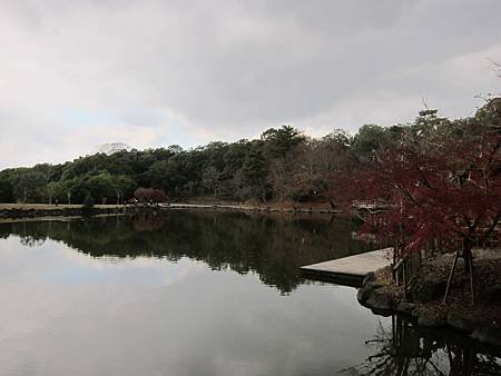 IMG_2956