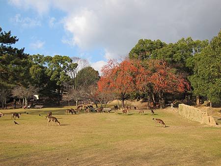IMG_2960