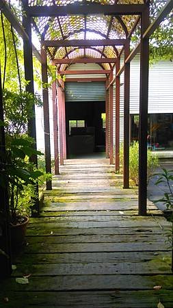 IMAG0684.jpg