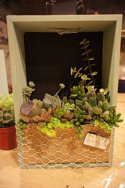 nEO_IMG_DSC04529.jpg