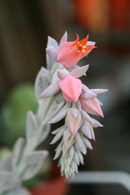 nEO_IMG_IMG_5013