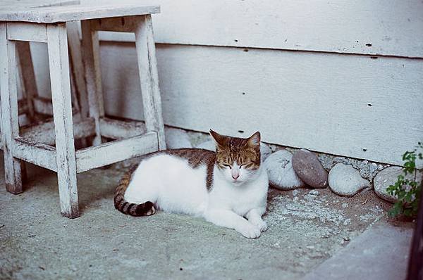 nEO_IMG_58270032