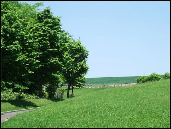 DSCF0328.jpg