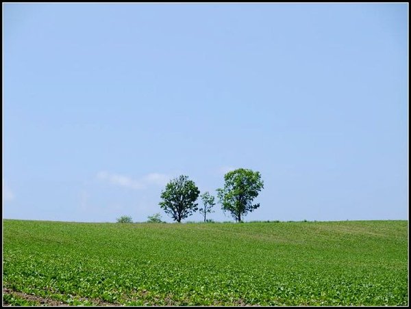 DSCF0590.jpg