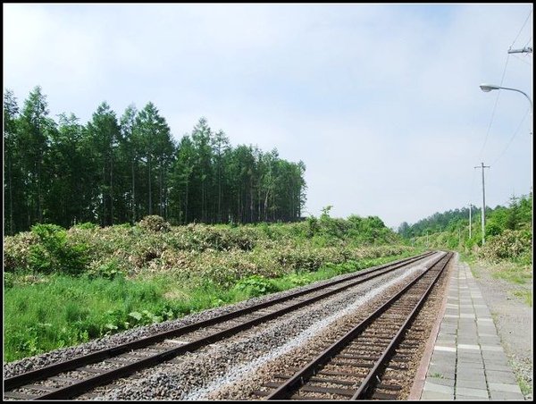 DSCF0282.jpg