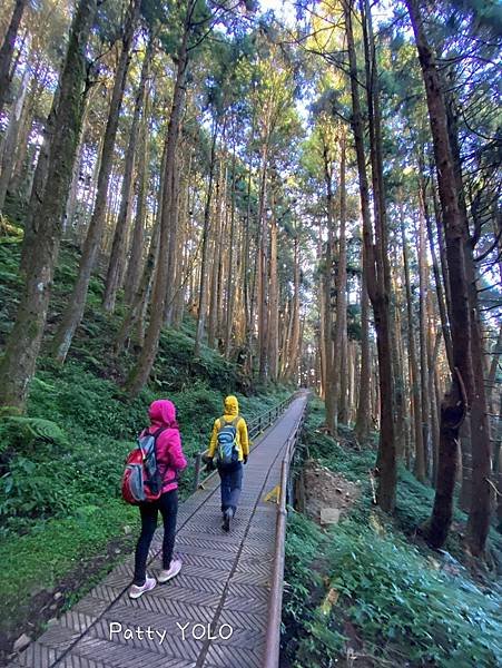 特富野古道_210111_4.jpg