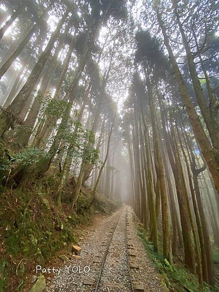 特富野古道_210111_9.jpg