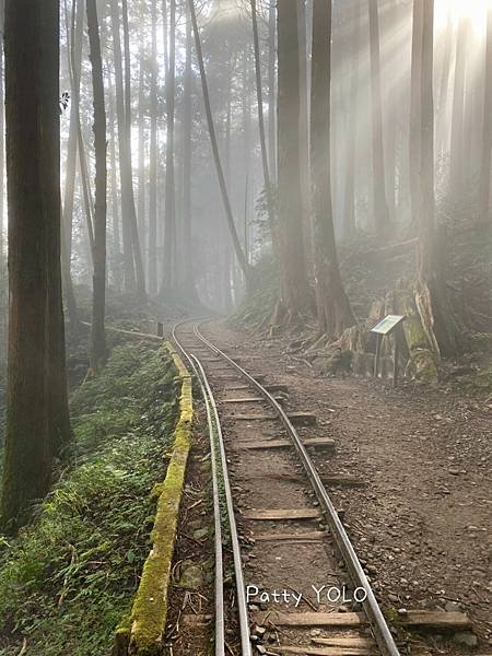 特富野古道_210111_13.jpg