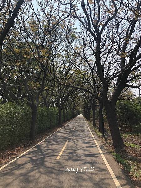 潭雅神綠園道龍貓隧道.jpg