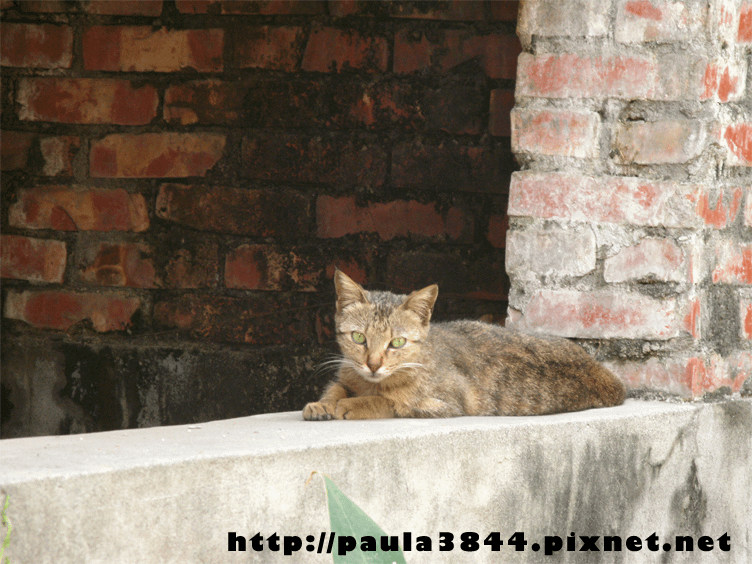 IMG_4913.png