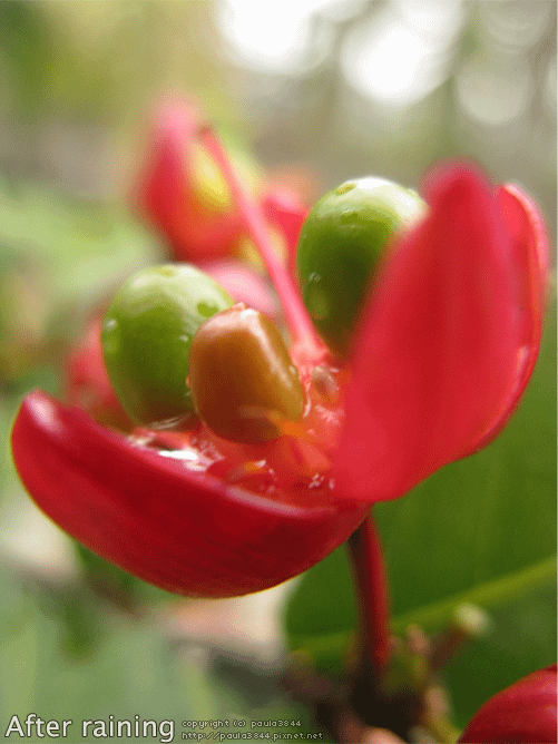 IMG_5046.png
