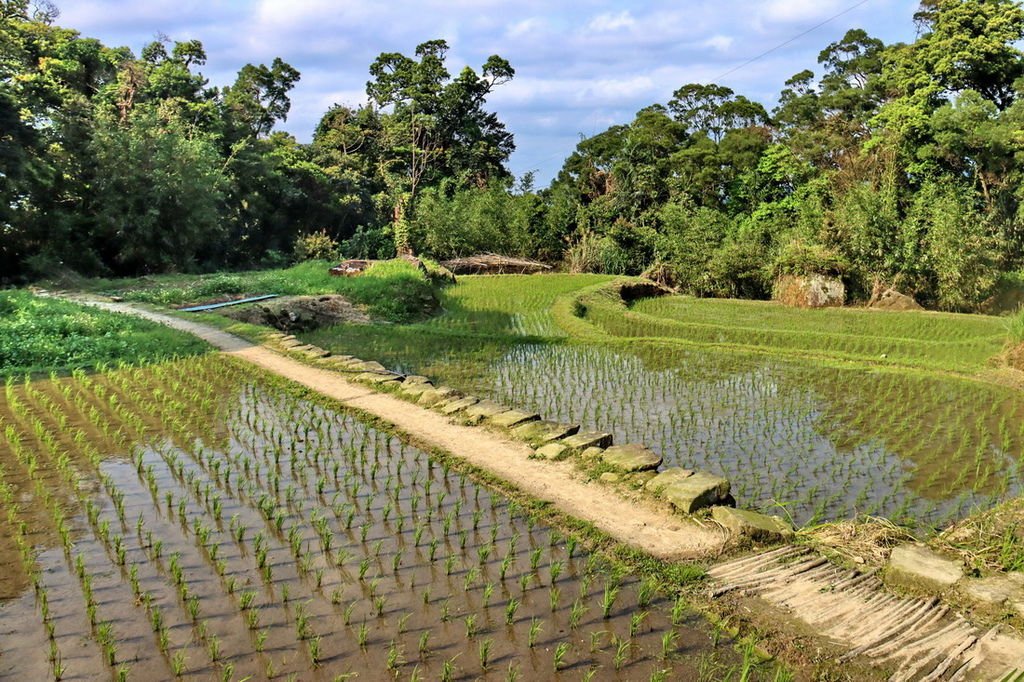 茶山古道33.JPG