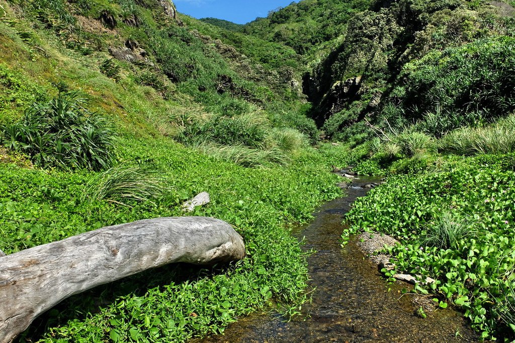 阿塱壹古道18.jpg