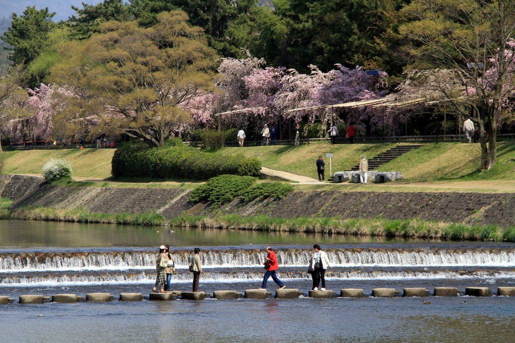 京都半木之道24.JPG