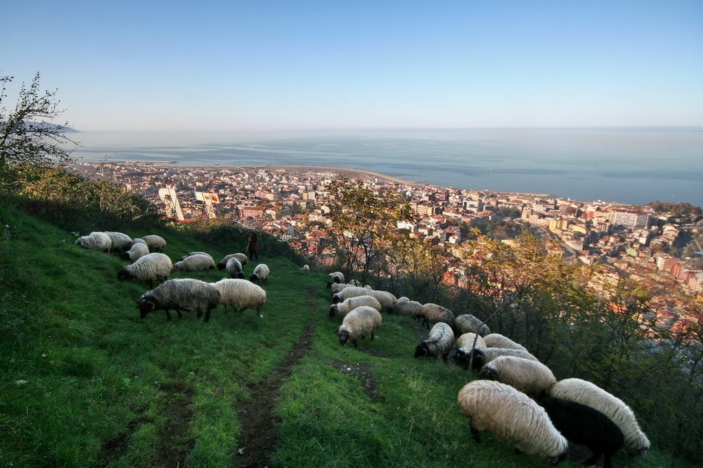 土耳其。黑海。特拉布宗Trabzon︱陡峭山崖上的蘇美拉修道