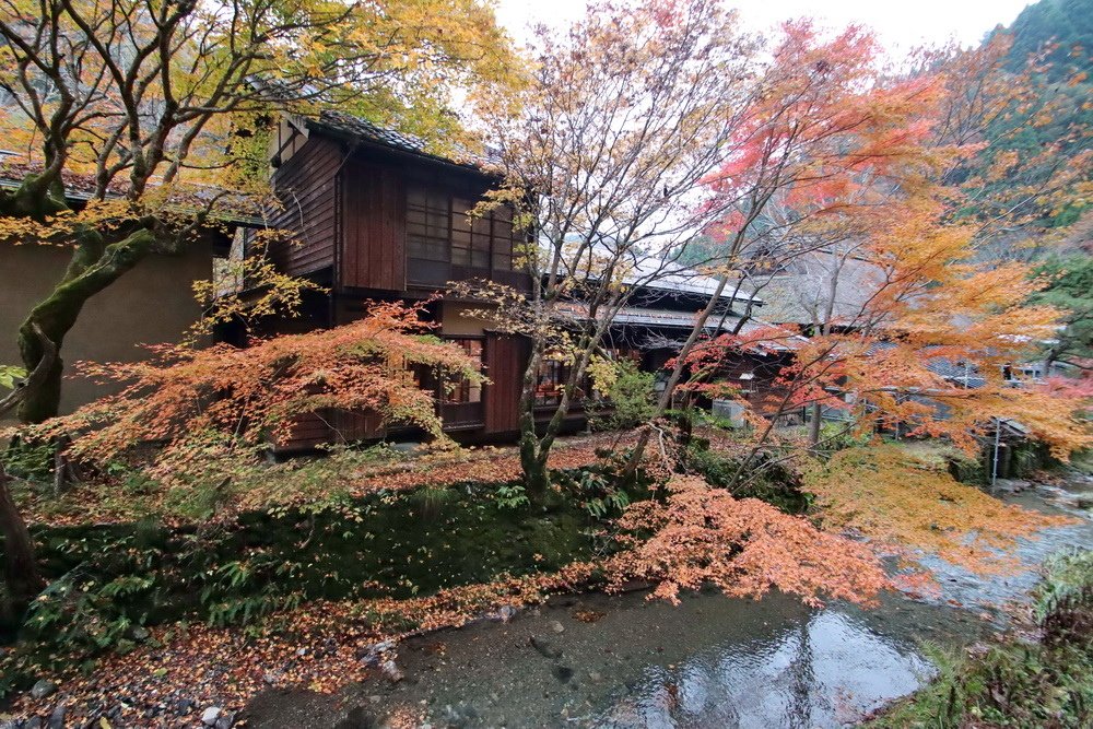 日本鳥取。板井原集落︱智頭町紅葉勝地。宛如神去村般山中祕境