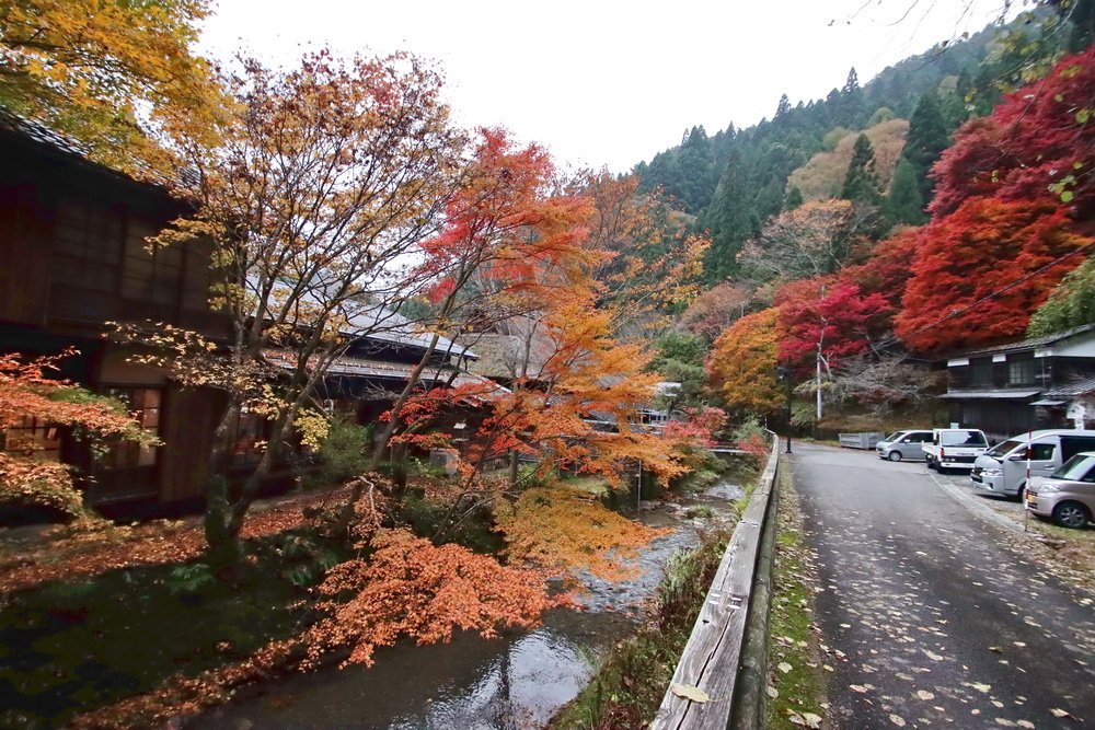 日本鳥取。板井原集落︱智頭町紅葉勝地。宛如神去村般山中祕境