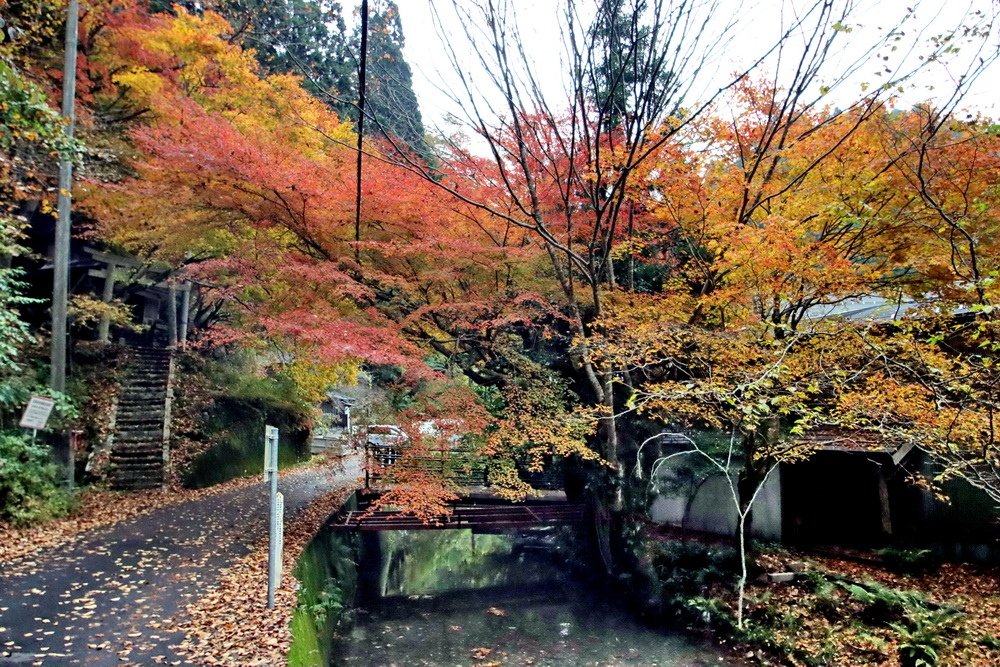 日本鳥取。板井原集落︱智頭町紅葉勝地。宛如神去村般山中祕境