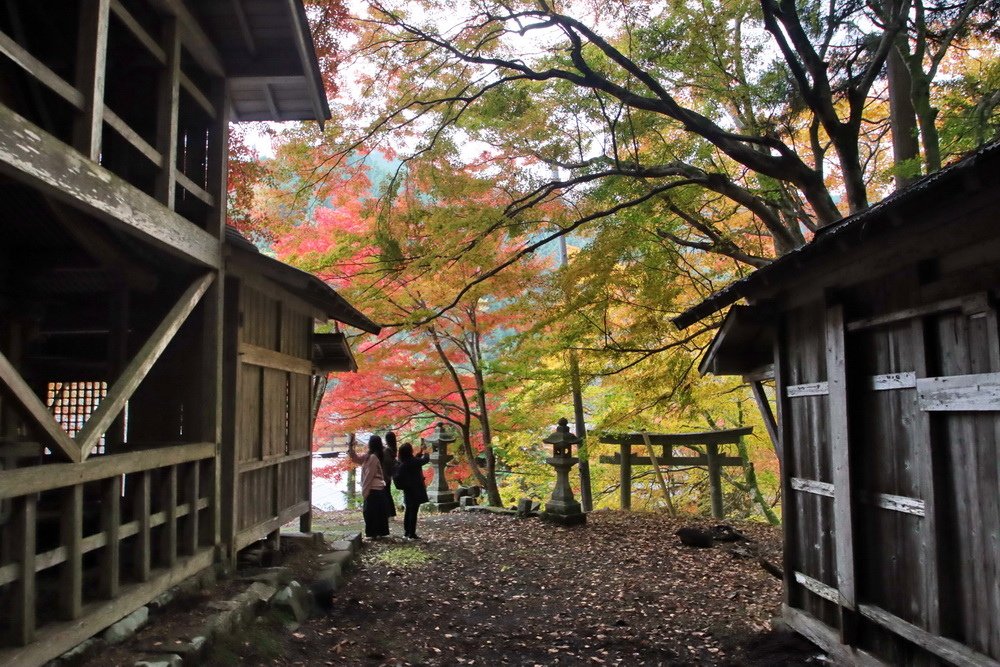 日本鳥取。板井原集落︱智頭町紅葉勝地。宛如神去村般山中祕境