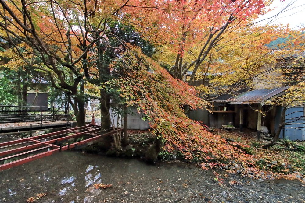 日本鳥取。板井原集落︱智頭町紅葉勝地。宛如神去村般山中祕境