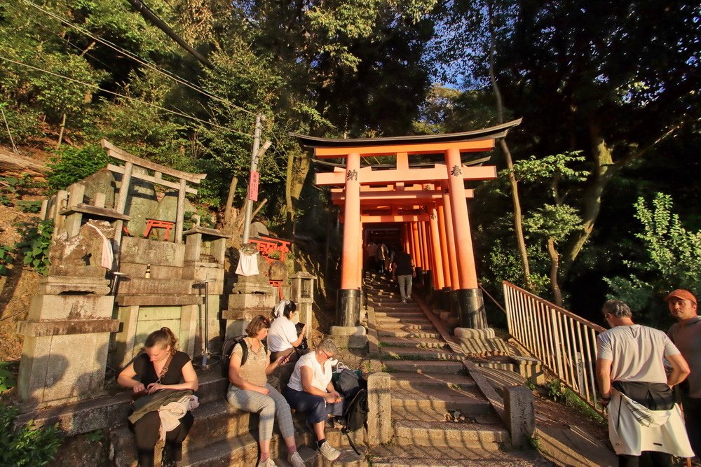 日本京都。伏見稻荷大社︱穿梭3萬座紅色大鳥居。欣賞京都絕美日