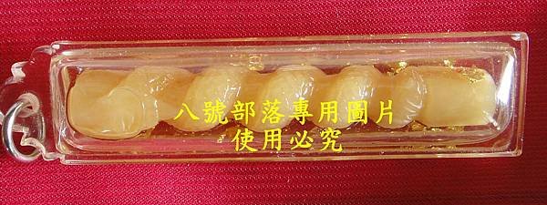 DSC05486