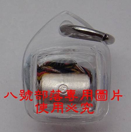 DSC06381