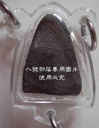 DSC06231