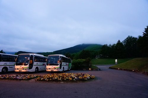 15236e2631b768.jpg