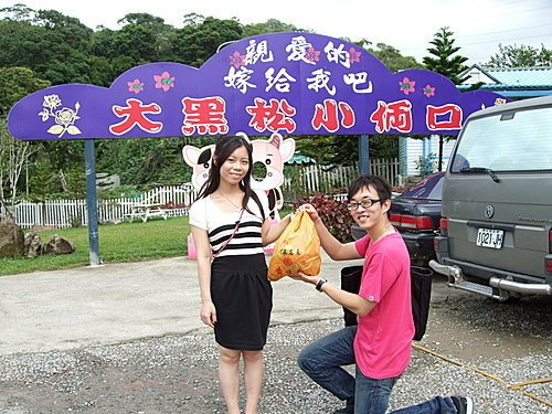 15236d6ef0e49d.jpg