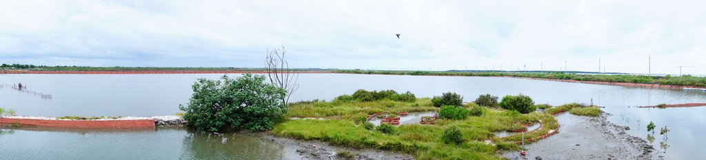 揪團遊七「GO」︱股份魚鄉-天鳥行空 (42).JPG