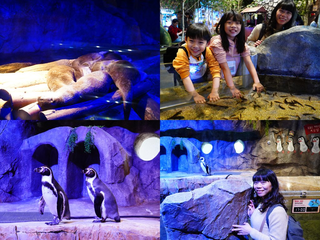 八爪水獺、企鵝.jpg