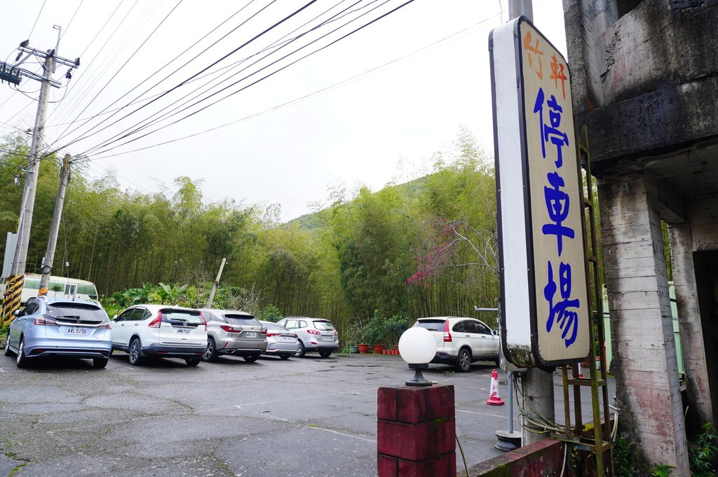 竹林秘境 (14).JPG