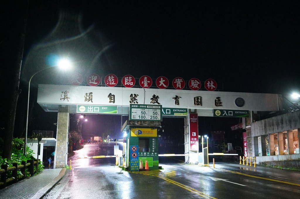 溪頭夜間導覽 (3).JPG