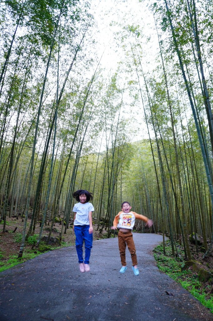 竹林秘境 (15).JPG