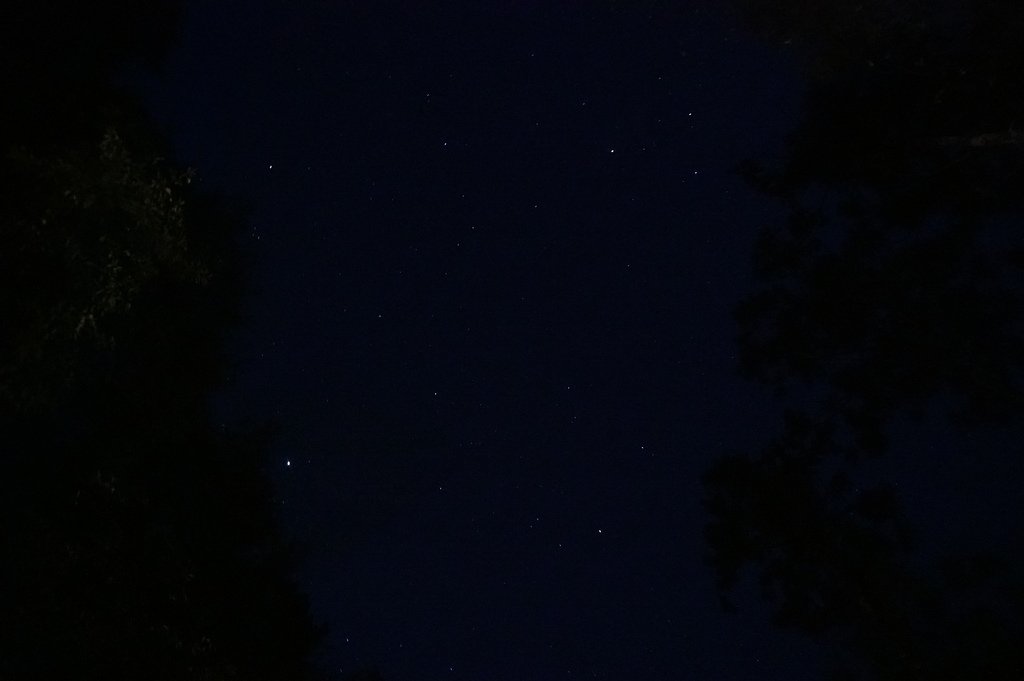 溪頭夜間導覽 (40).JPG
