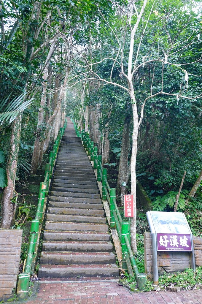 南投鹿谷︱鳳凰谷鳥園 (146).JPG