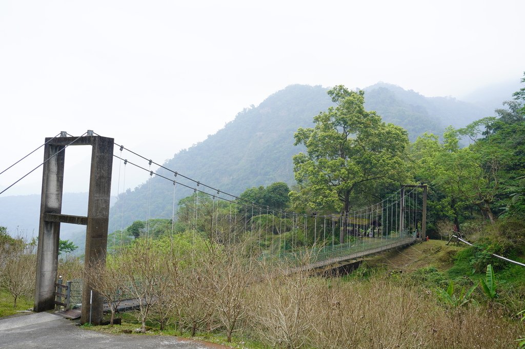 南投鹿谷︱鳳凰谷鳥園 (161).JPG