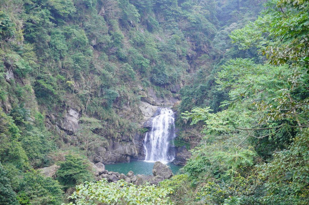 南投鹿谷︱鳳凰谷鳥園 (169).JPG