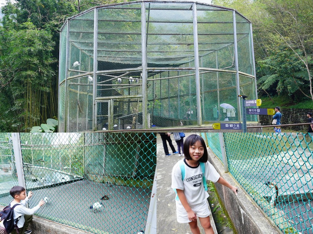 水禽園.jpg